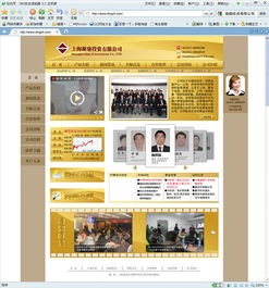 网页与网站设计的艺术与科学 从像素到体验的旅程